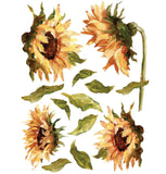 Iron Orchid Designs Painterly Florals Rub On Transfer Pad, 8 Pages, 12” x 16”