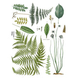 Iron Orchid Designs IOD Fronds Botanical Rub On Transfer Pad 16” x 12”, 4 Pages