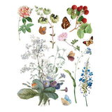 Iron Orchid Designs IOD Marche des Fleurs ™ Rub On Transfer Pad 8 Pages, 12” x 16”