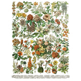 Iron Orchid Designs IOD Millot’s Pages Rub On Transfer Pad 8 Pages, 12” x 16”