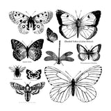 Iron Orchid Designs IOD Butterflies Stamp Bee Moth Dragonfly