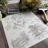 Iron Orchid Designs IOD Meadowlark 12” x 12” Stamp™ Birds Butterflies