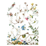 Iron Orchid Design Lost Garden Rub On Transfer Pad, 8 Pages, 12” x 16”