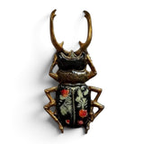 Iron Orchid Designs IOD Specimens Mould 6” x 10” Insect Beetle Mold New