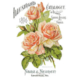 Iron Orchid Designs IOD Ephemeral Melange Rub On Transfer Pad 8 Pages, 8” x 12”