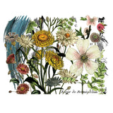 Iron Orchid Designs IOD Midnight Garden Rub On Transfer Pad, 4 Pages, 12” x 16”
