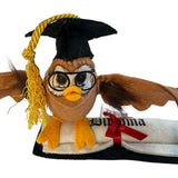 Annalee Wise Owl Graduation Diploma Mortarboard 2025 New College High School