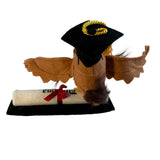 Annalee Wise Owl Graduation Diploma Mortarboard 2025 New College High School