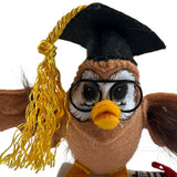 Annalee Wise Owl Graduation Diploma Mortarboard 2025 New College High School