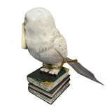 Jim Shore Harry Potter Hedwig Owl New Fantasy Book Movie