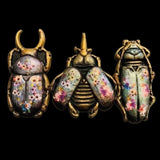 Iron Orchid Designs IOD Specimens Mould 6” x 10” Insect Beetle Mold New