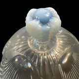 Mosser Seashell Pattern Round Butter Cheese Dish With Dome Lid Crystal Opalescent New USA