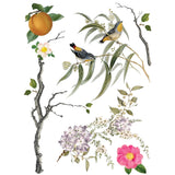 Iron Orchid Designs Transfer Menagerie 12 x 16 Pad New