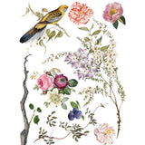 Iron Orchid Designs Transfer Menagerie 12 x 16 Pad New