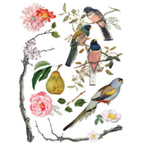 Iron Orchid Designs Transfer Menagerie 12 x 16 Pad New