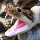 Safari Ltd Eastern Diamondback Rattlesnake Realistic Toy Non-toxic PVC 40"