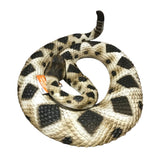 Safari Ltd Eastern Diamondback Rattlesnake Realistic Toy Non-toxic PVC 40"