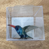 Little Critterz Broad Billed Hummingbird Miniature Porcelain Figurine