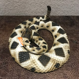 Safari Ltd Diamondback Rattlesnake