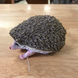 Hedgehog Safari Ltd